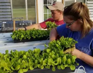 Ferrum Ag students Sean Trollinger and Jody Jefferies work in new hydroponic greenhouse facility. Dr. Bob Pohlad photograph.