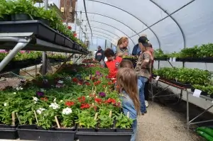 Ferrum College plant sale occurs April 13 from 9 a.m. to 5 p.m.