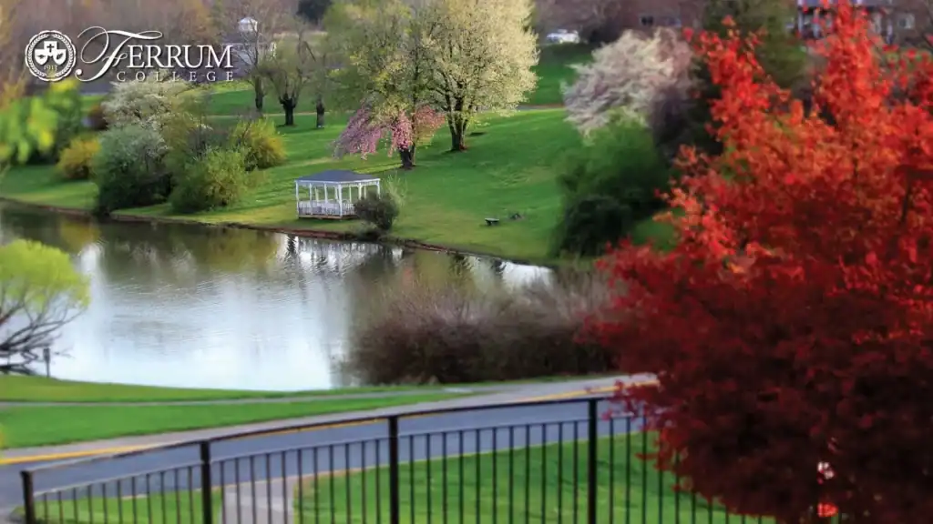 Thumbnail image for the Ferrum College Education Leadership in Action news item
