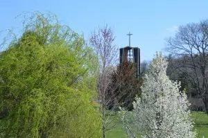 Ferrum College bell tower surrounded by spring trees. Dr. Bob Pohlad photo.