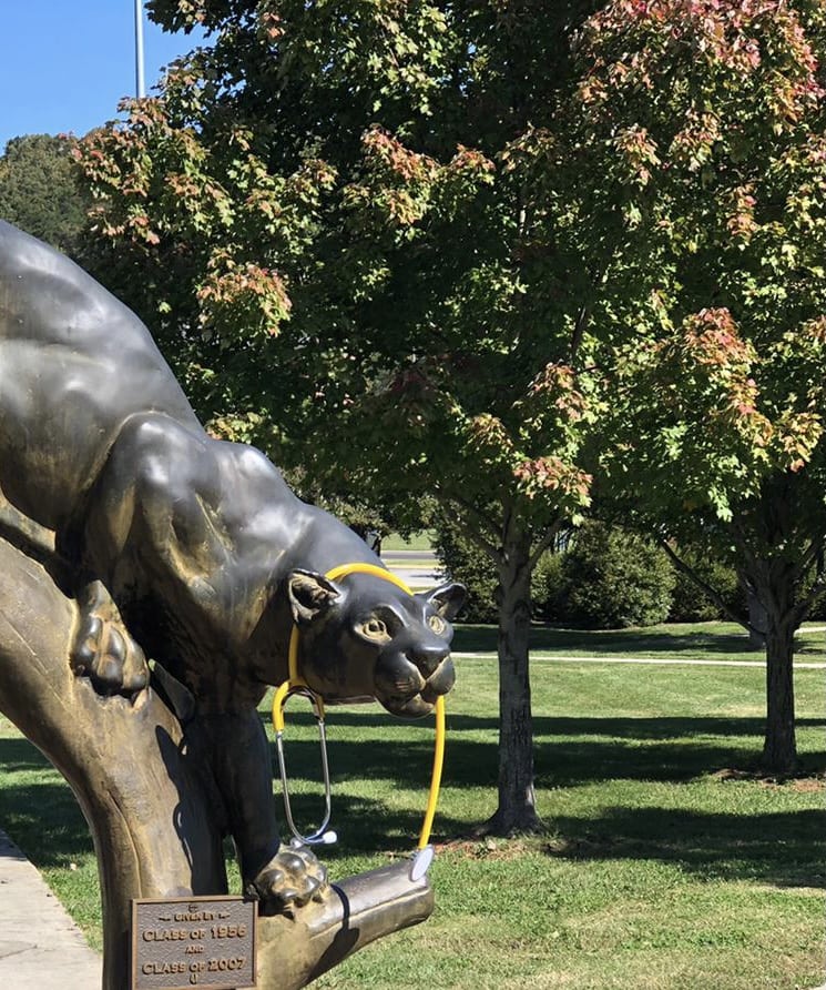 Ferrum College's panther statue wears a stethoscope showcasing the institution's approval to offer a pre-licensure BSN beginning in January 2021.