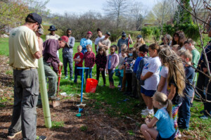 Tree Planting at Ferrum College