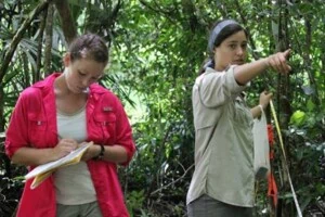 Belize Jaguar Project
