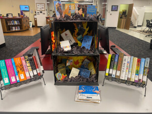 Thumbnail image for the Stanley Library Celebrates Banned Books With Display news item