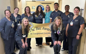 Thumbnail image for the Ferrum College Nursing Student Wins BEE Award news item