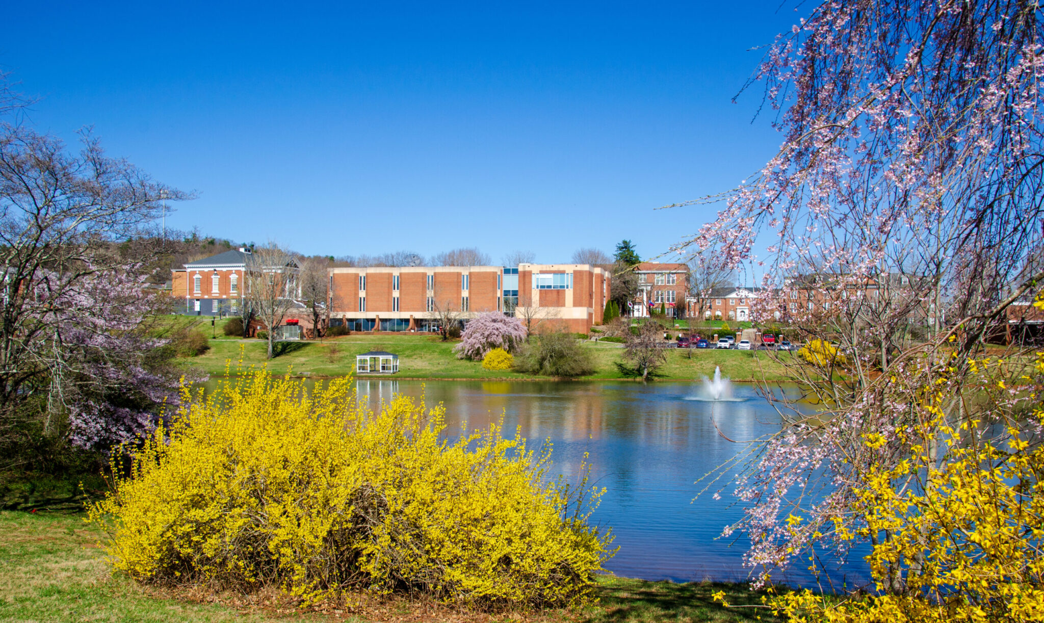 Casting a Line: Ferrum College Enhances Outdoor Experience by Stocking ...