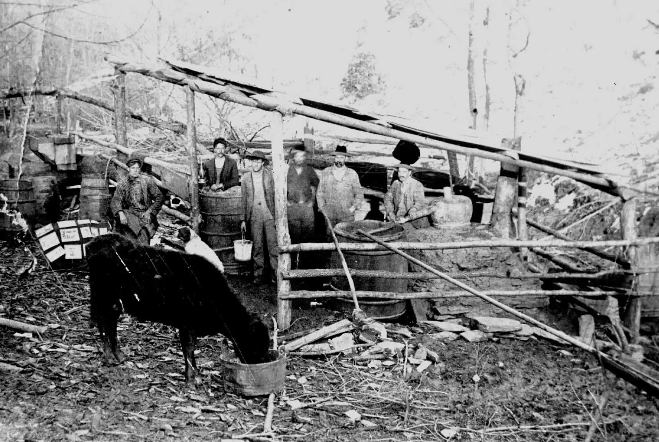 Hero for Moonshine: Blue Ridge Style