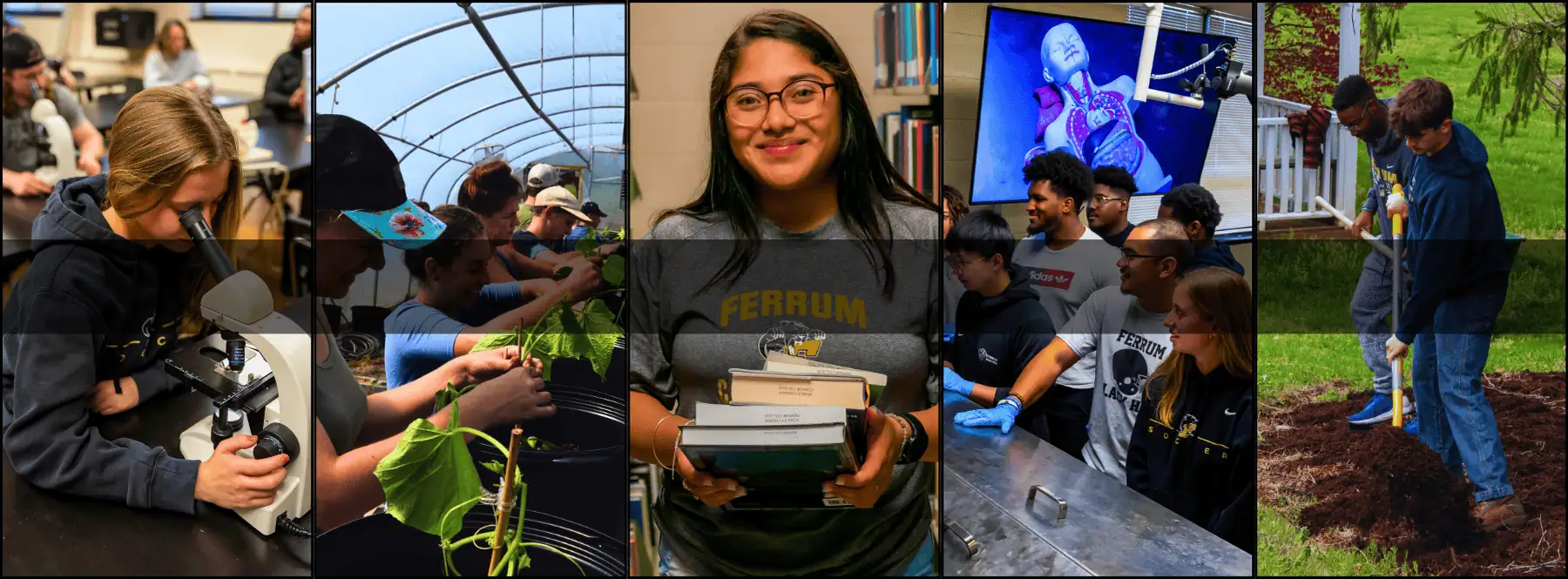 Hero for Boone Honors program