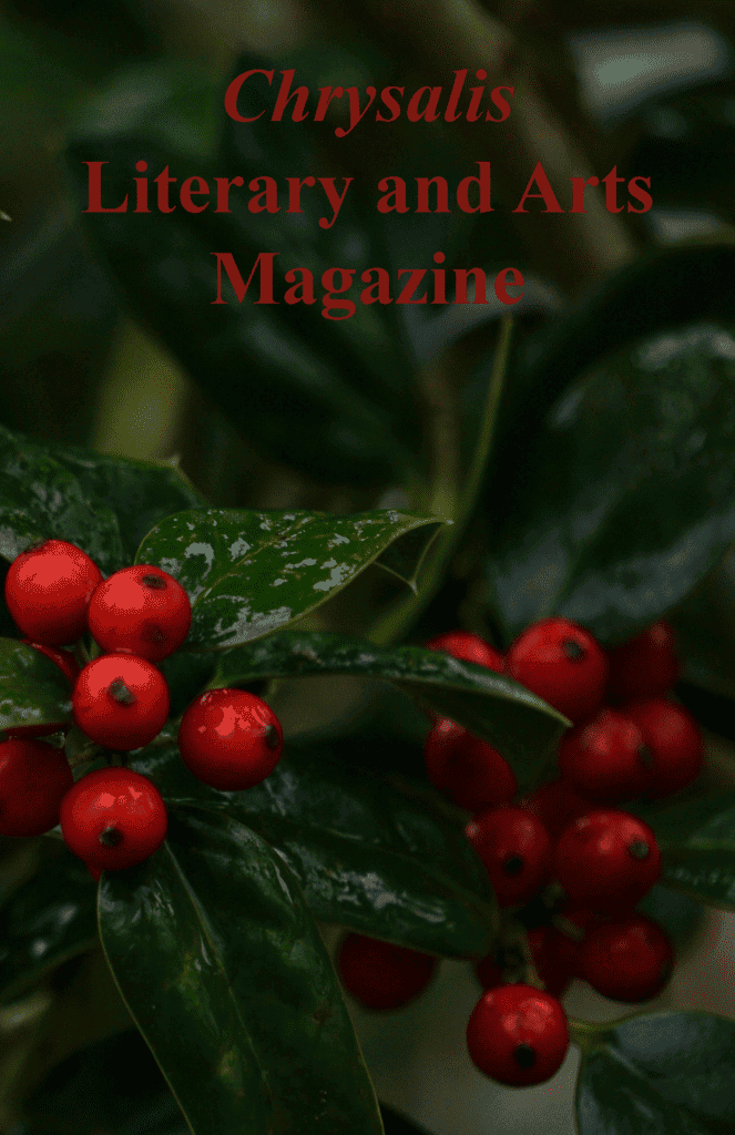 Thumbnail image for the Ferrum College Reveals Fall 2024 “Chrysalis Literary and Arts Magazine” news item