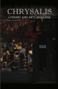Cover of Chrysalis with dark photo of storefronts