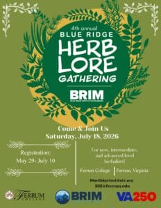 Graphic for 4th annual Blue Ridge Herb Lore Gathering at BRIM in shades of green with a gold circle and dark green leaves around the center circle. College and BRIM logos at the bottom.