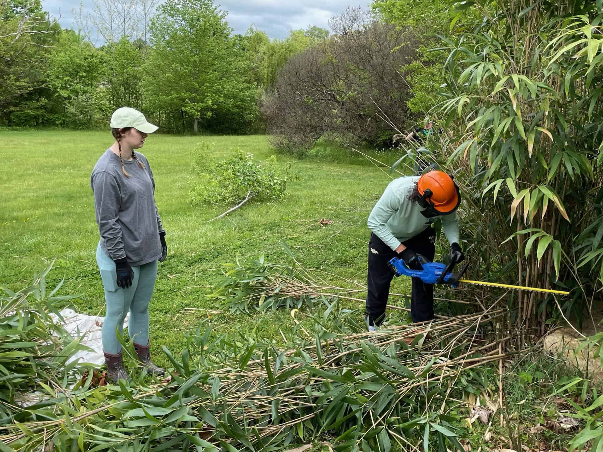 student using power tool to chop down trees while other student is watching