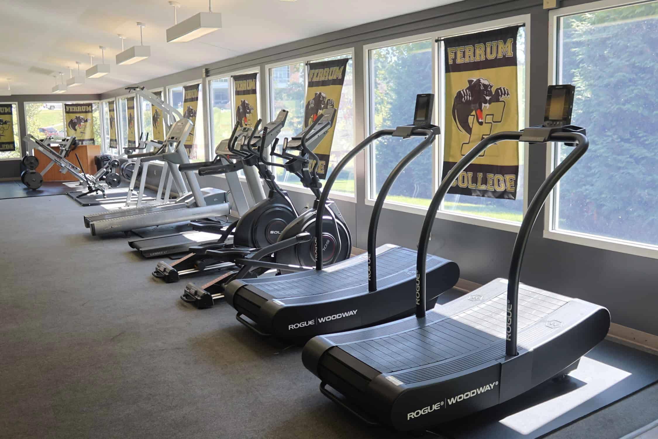 Six treadmills facing the window with the sun shinning through. The Ferrum Panther flag is alternating between each window.