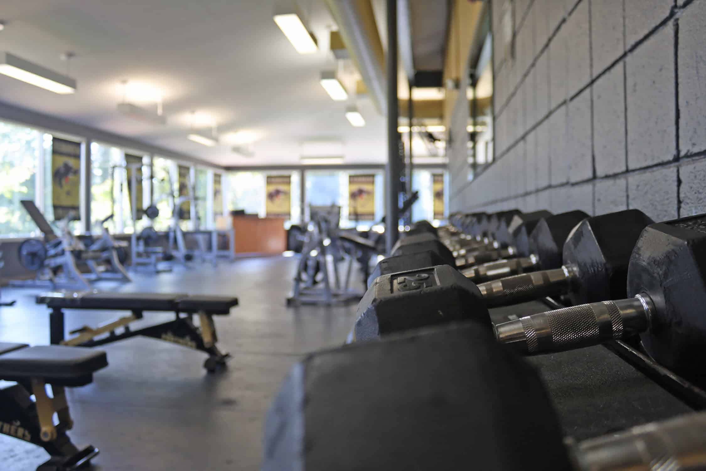 A close-up of the dumbbell rack with leg workout machines in the distance.