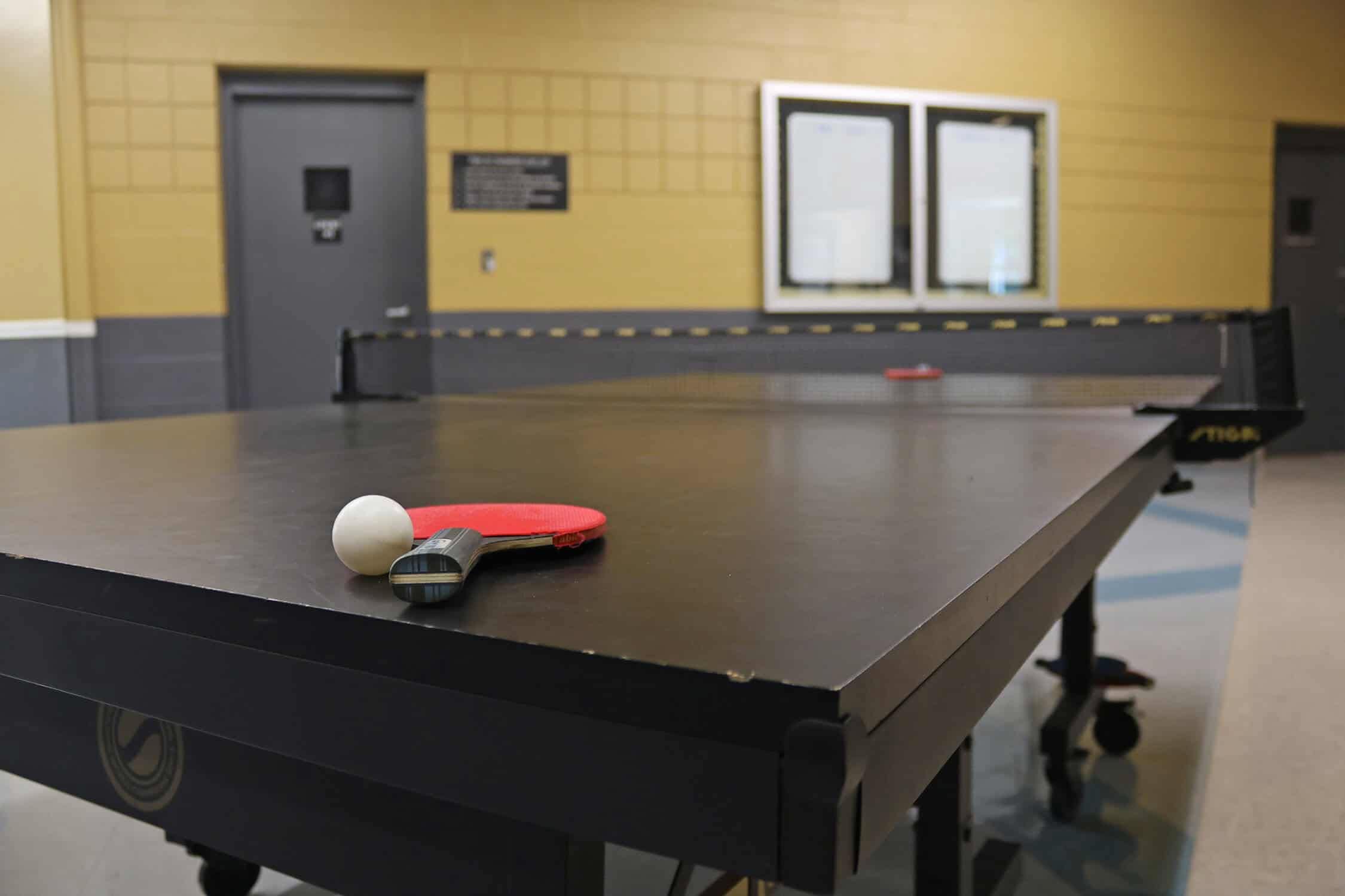 A ping pong table with a paddle on each end of the table. The ball is next to the paddle.