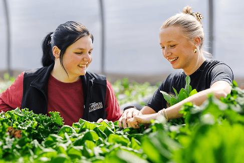 Students at Ferrum