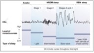 Graph about sleep with black print on white background, some lavender and light blue shading in graph