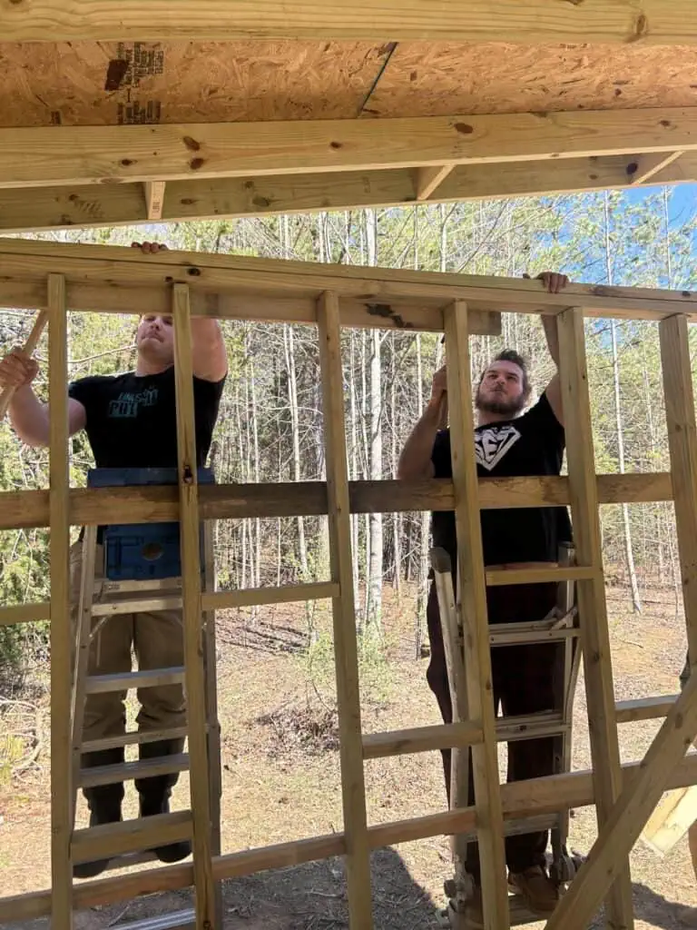 Photo shows two male college students standing on ladders working to build the frame of a shed.