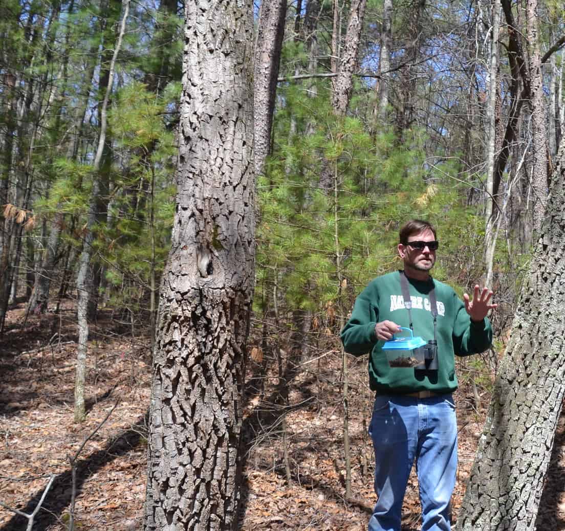 TODD FREDERICKSEN in woods in green shirt