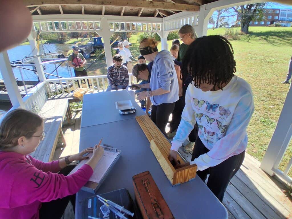 A group of students gathers in a gazebo by a lake to measure fish, with one girl writing notes while another uses a wooden board to measure a fish.