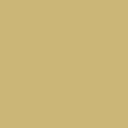 Ferrum College gold color swatch