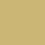 Ferrum College gold color swatch