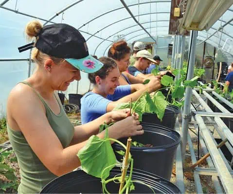 students inspecting plants in greenhouse