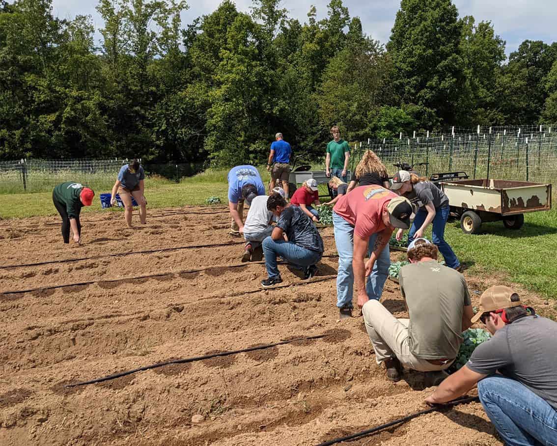 Group of students working on the garden in a field