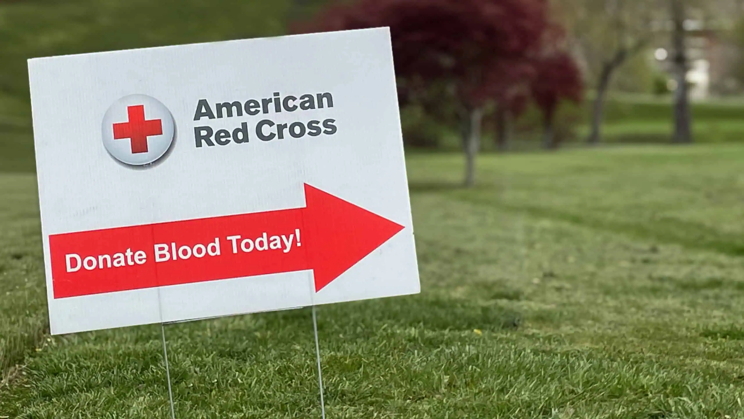 American red cross blood drive sign with grass and trees in the foreground and the background
