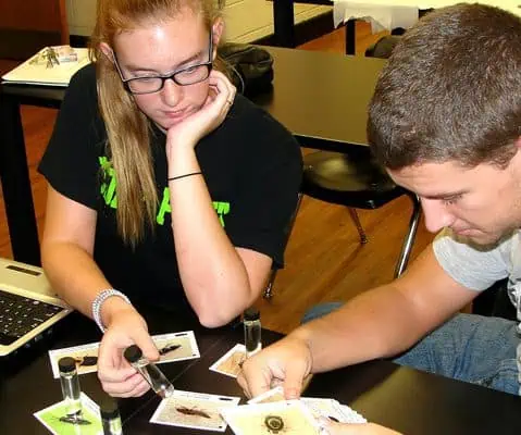 female and male student inspecting insect photos