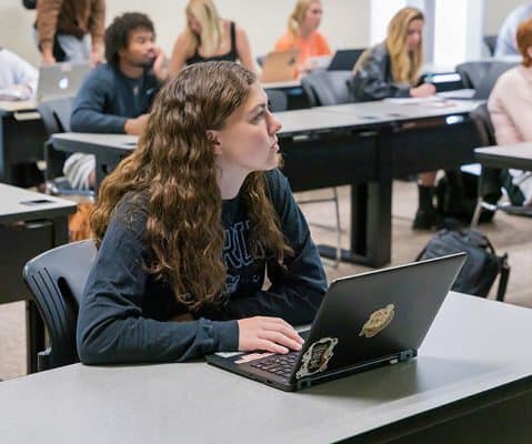 Ferrum College student in the classroom with computer