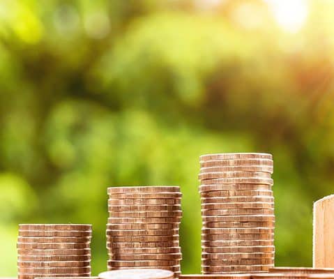 increasing stacks of pennies lined up with a blurred nature background